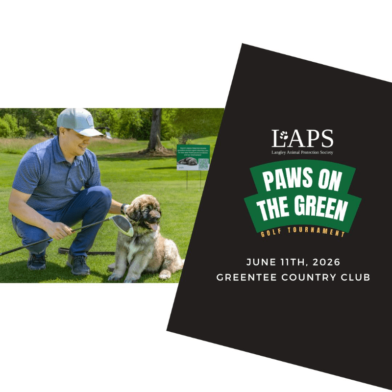 2026 LAPS Paws on the Green Golf Tournament
