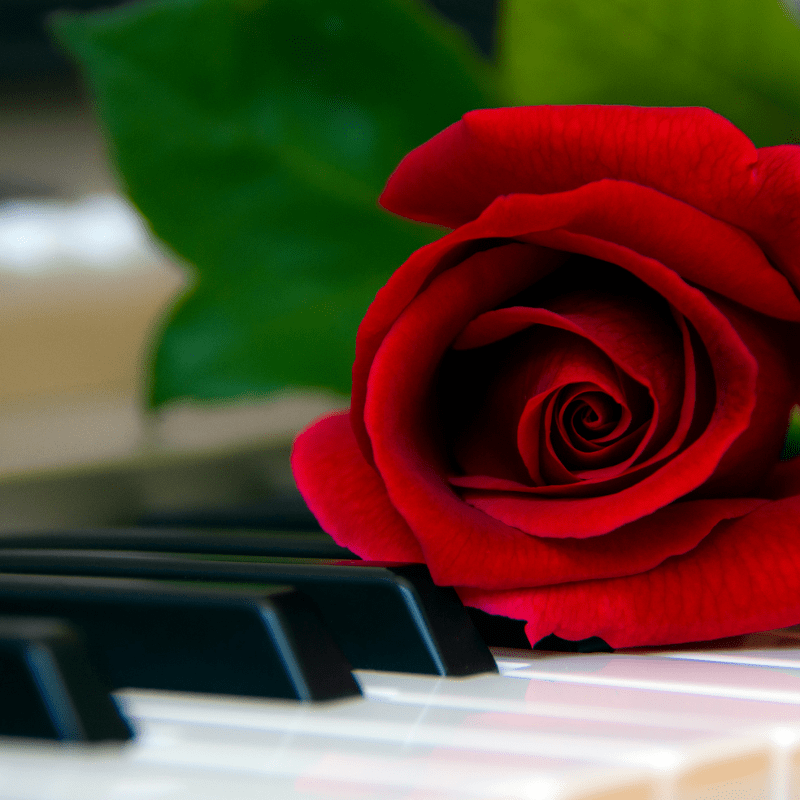 NSC Women's Choir Festival