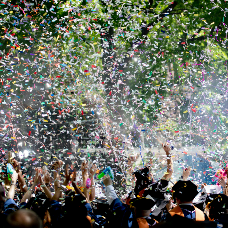 Senior Party 2026