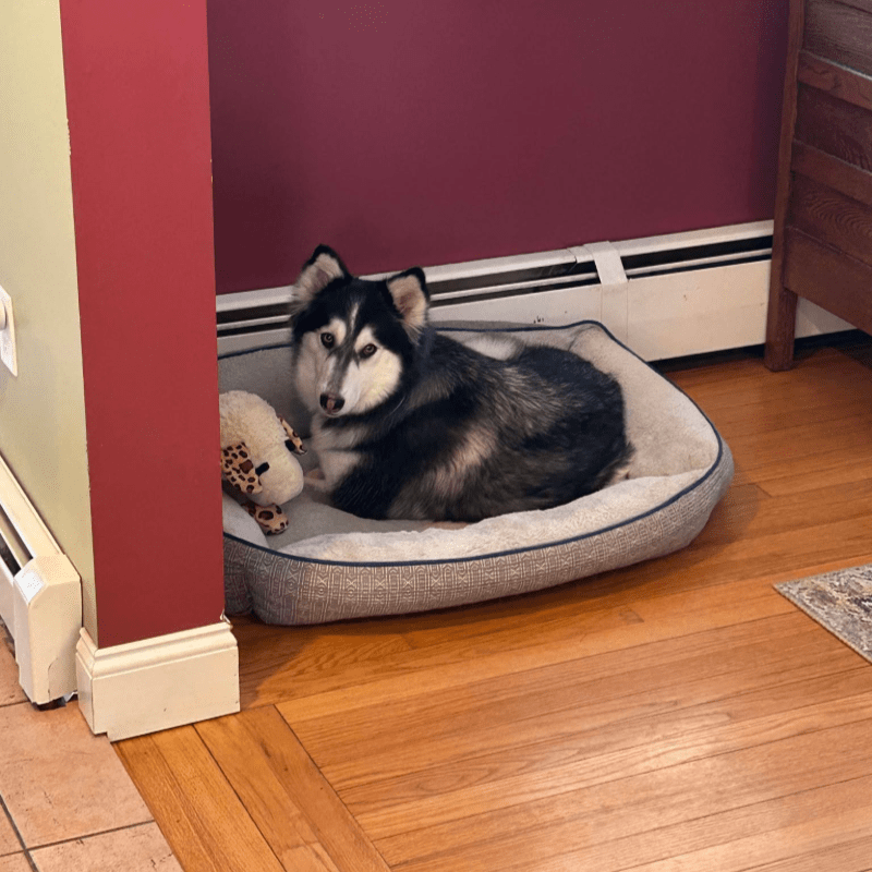 2026 Fundraising Gala