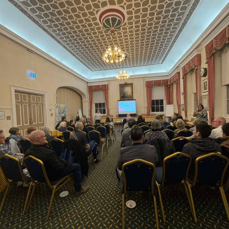 Nature in Harmony: Whatβs Living in Our Wood