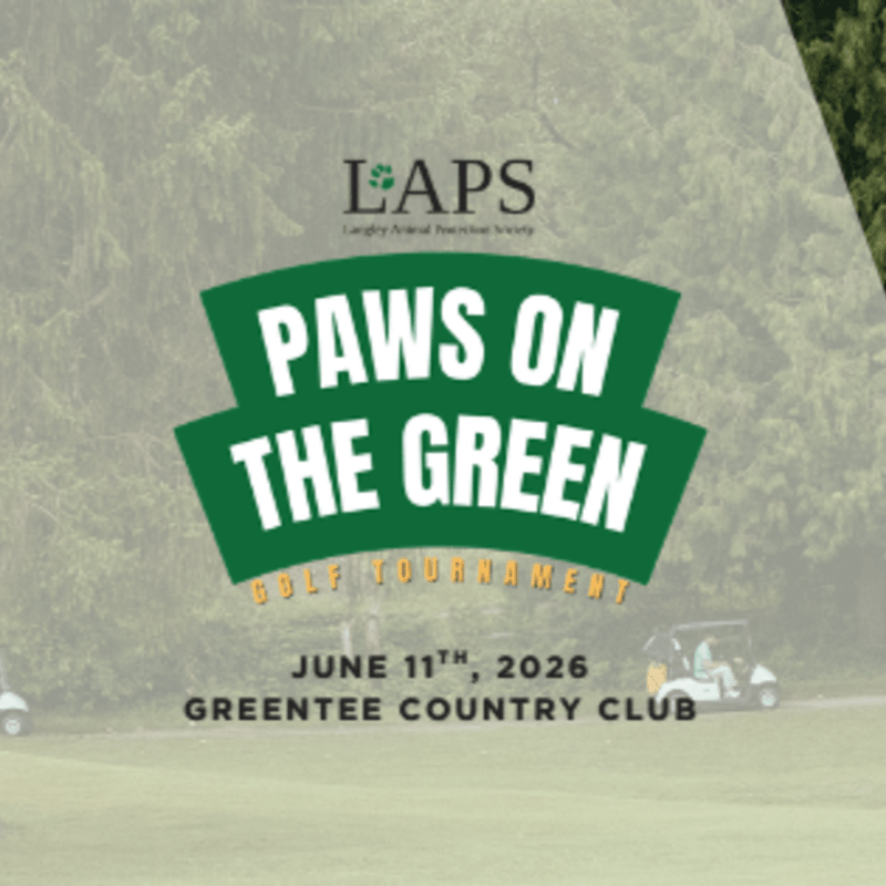 Paws On The Green Silent Auction