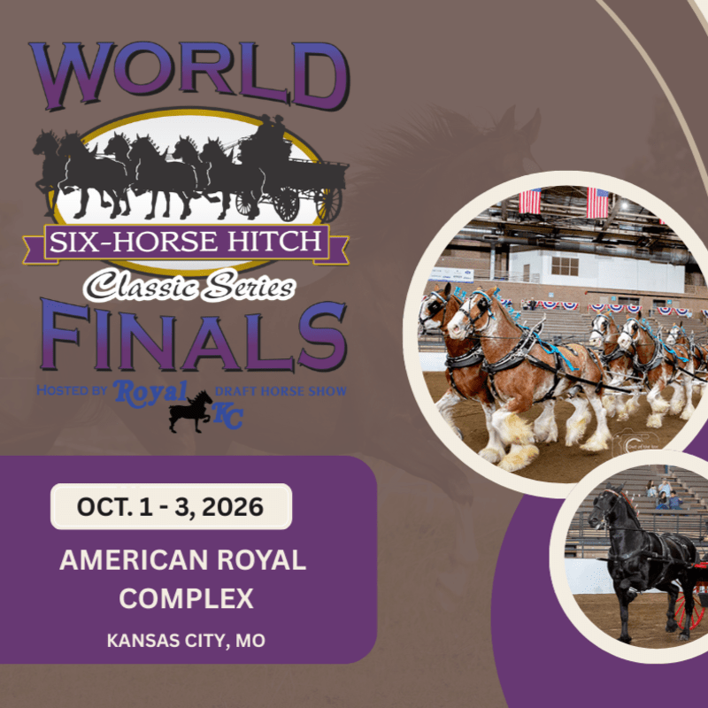 North American Six Horse Hitch Classic Series Finals
