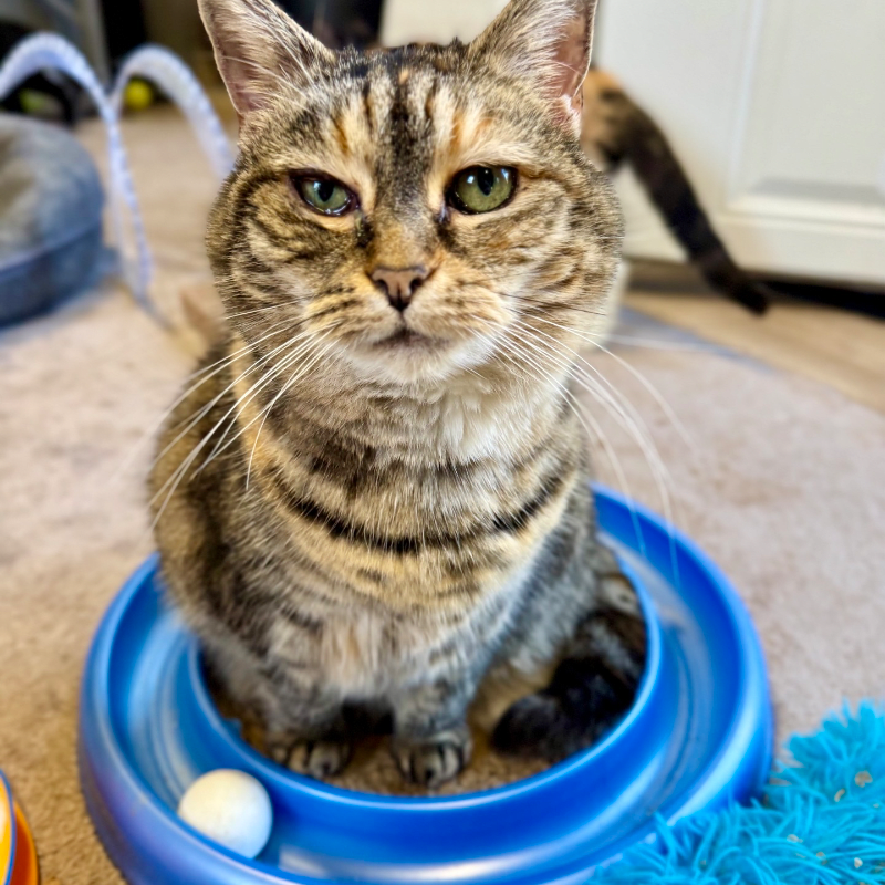 Donate to Save Lives πΎ