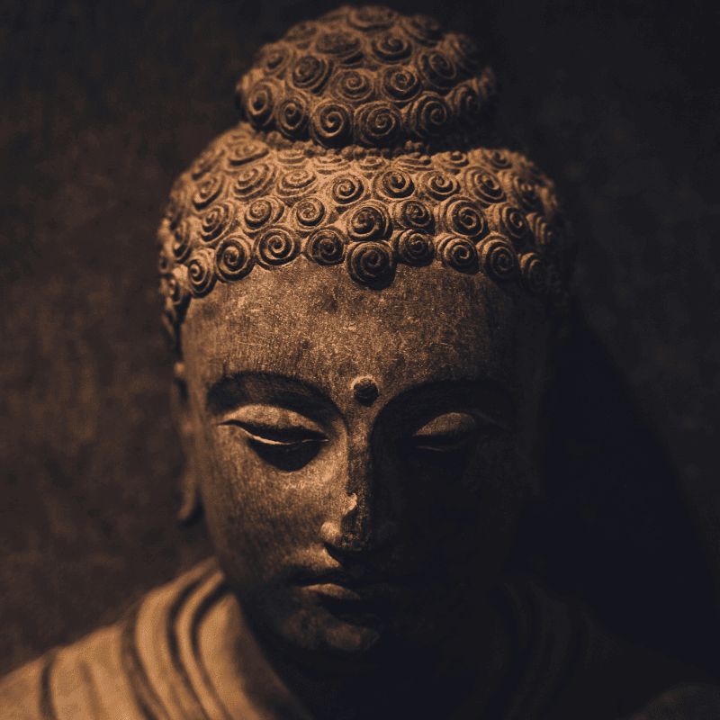 Zen Studies with Donen Mar 2026