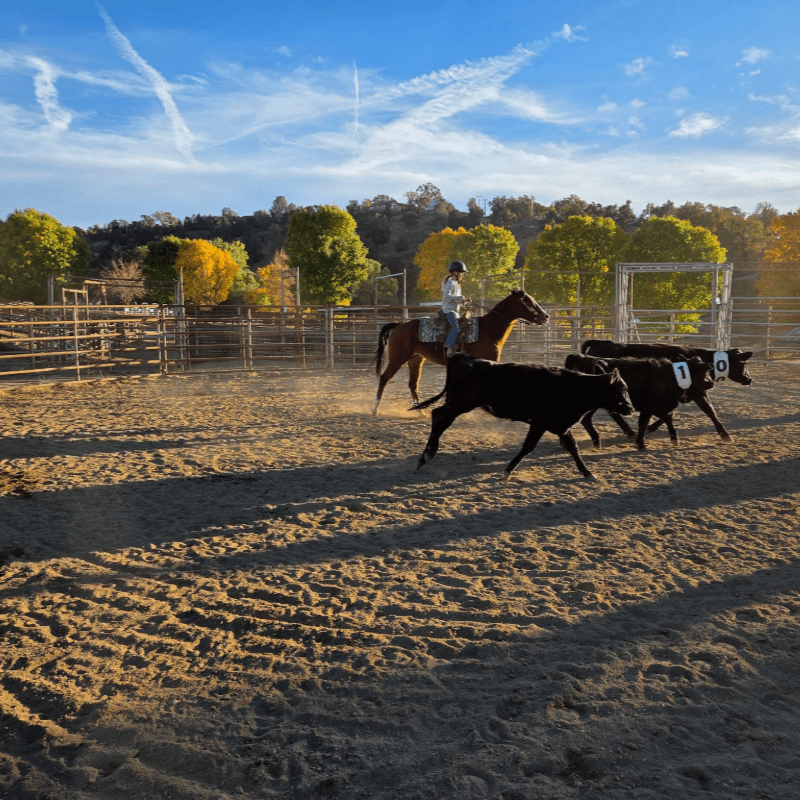BVS Buckaroos, Inc. 2026 Membership