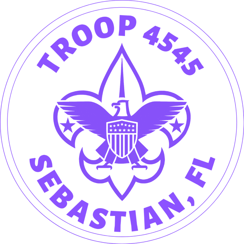 Troop 4545 Scout Payments
