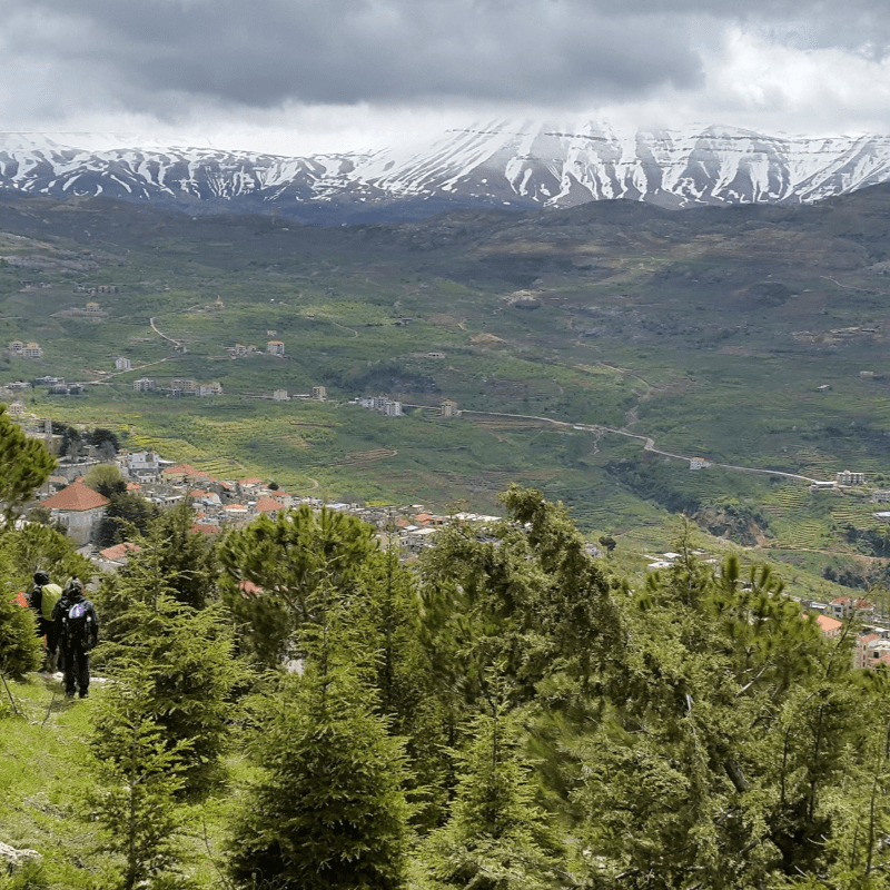 A Trail That Connects Us - A Live Event by CFLMT