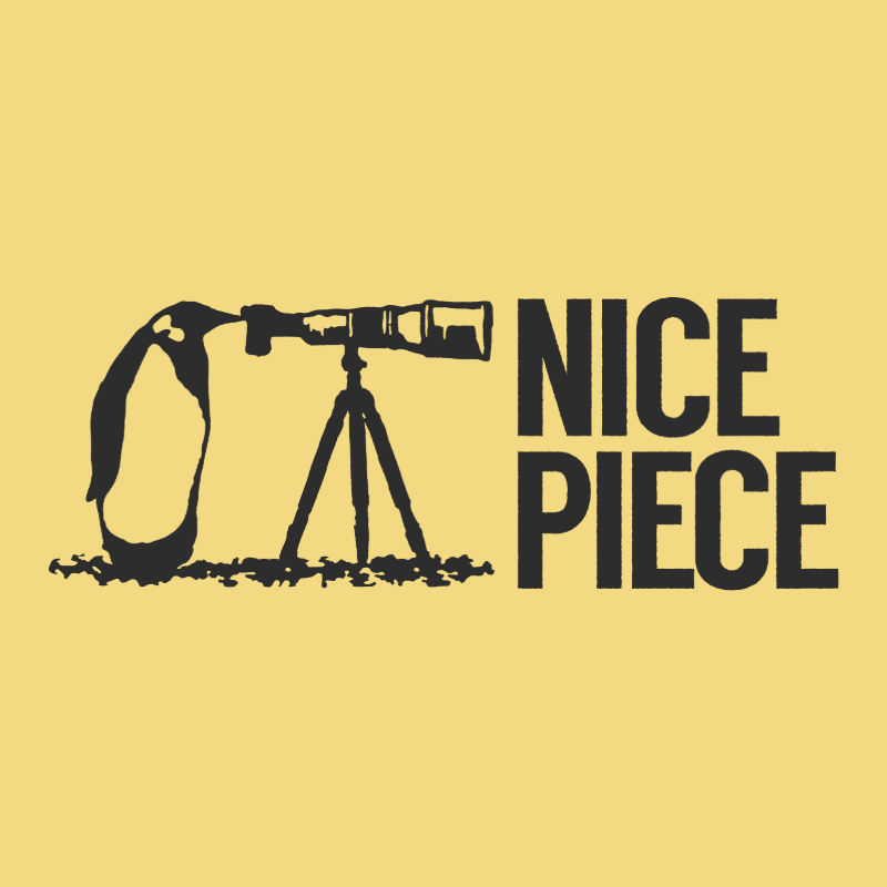 Nice Piece: The Alex Pashley Scholarship