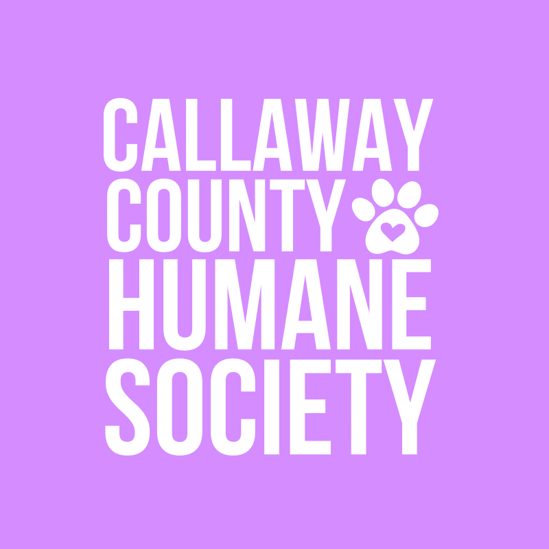 Cover the spay/neuter costs for 36 kitten and puppies!💜