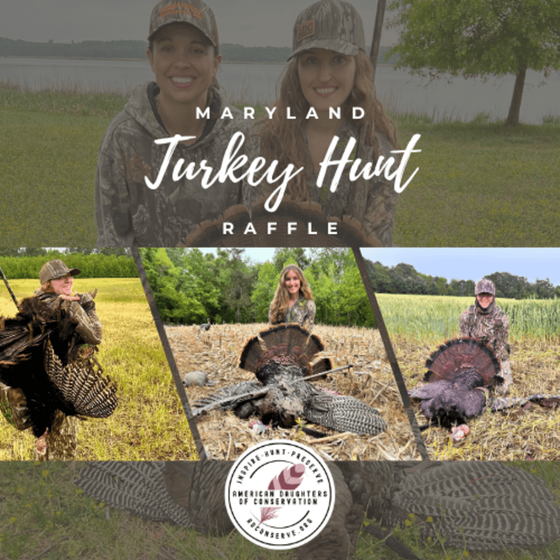 MD Turkey Hunt Raffle 2026