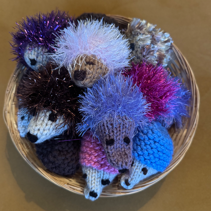 Chocolate Hoglets