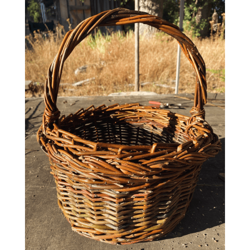 Willow Basketry: Weave a Gathering Basket with Samantha Iacobello