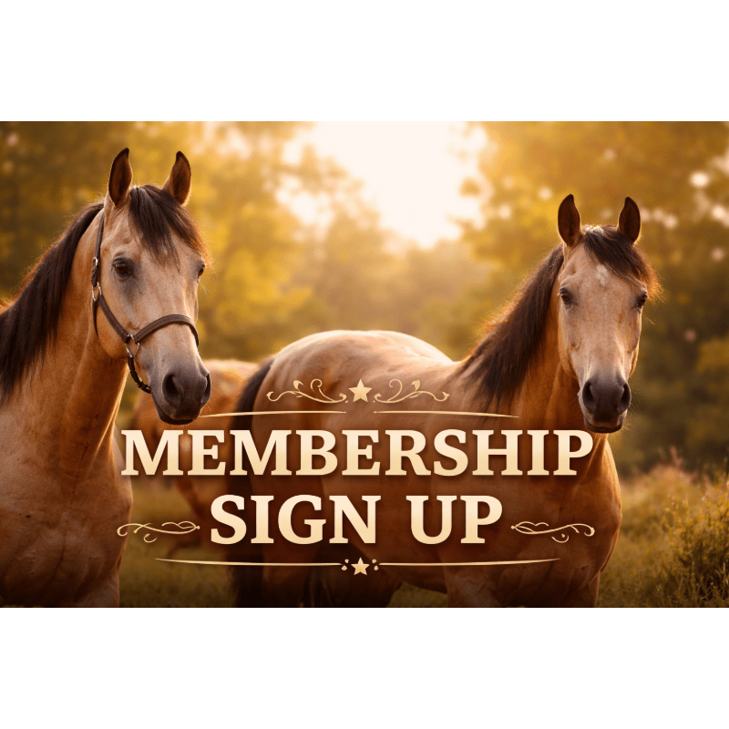BHAM Membership