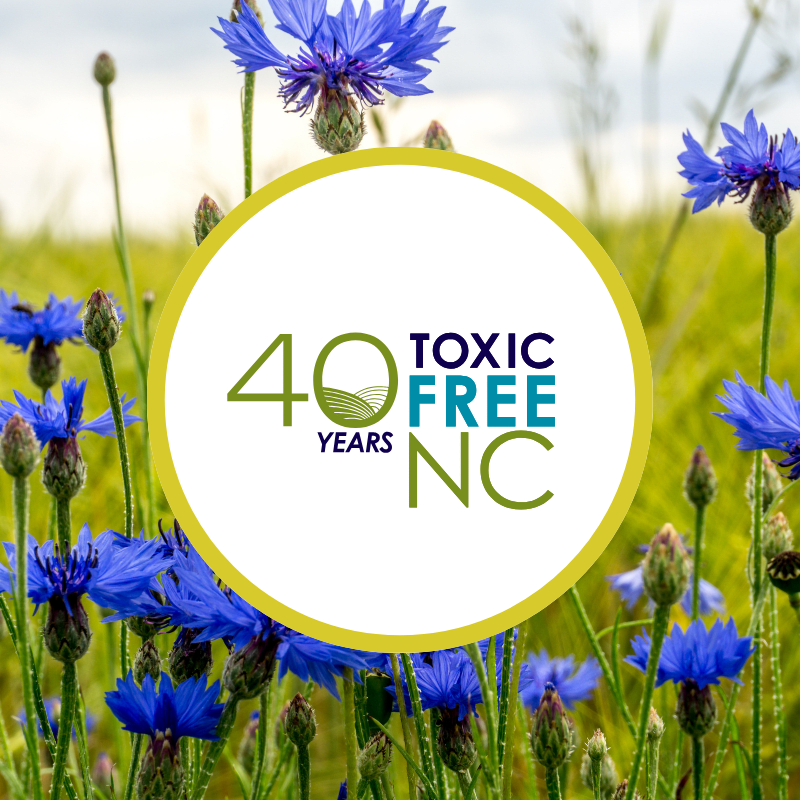Community Celebration: Toxic Free NC’s 40th!
