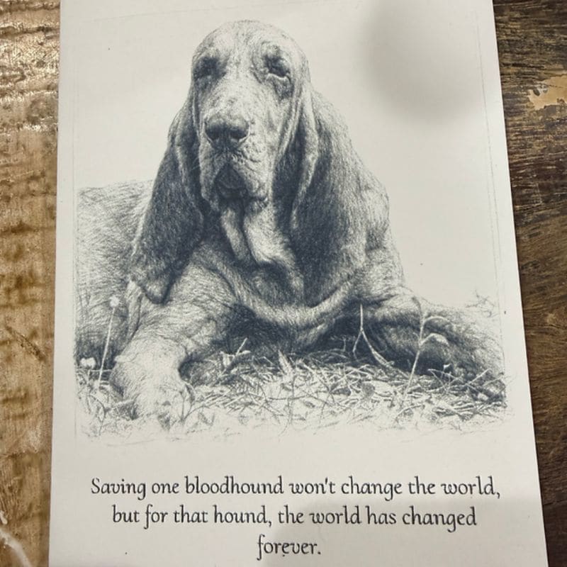 The Hound Dog Express Boutique