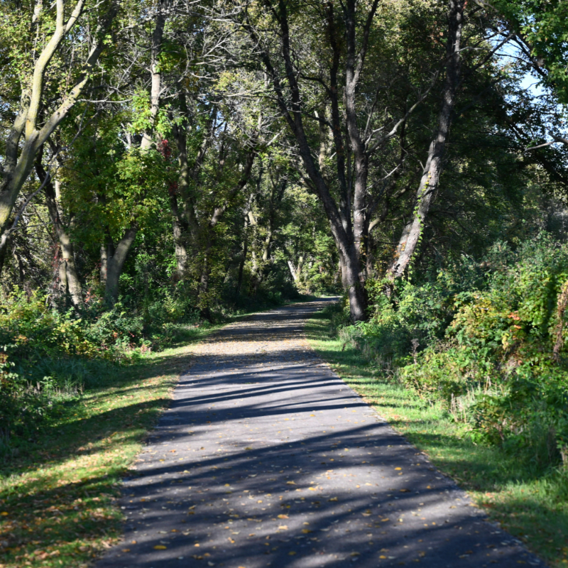 Volunteer Work Group on the Rogue River Greenway