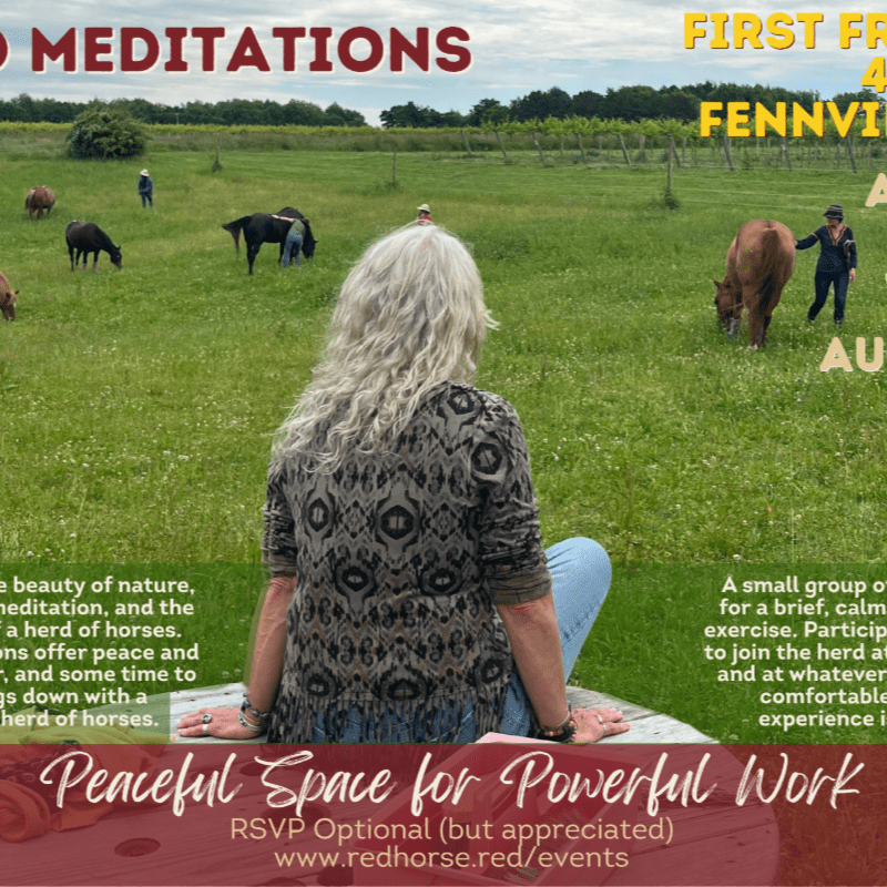 Herd Meditations - Spring & Summer 2026