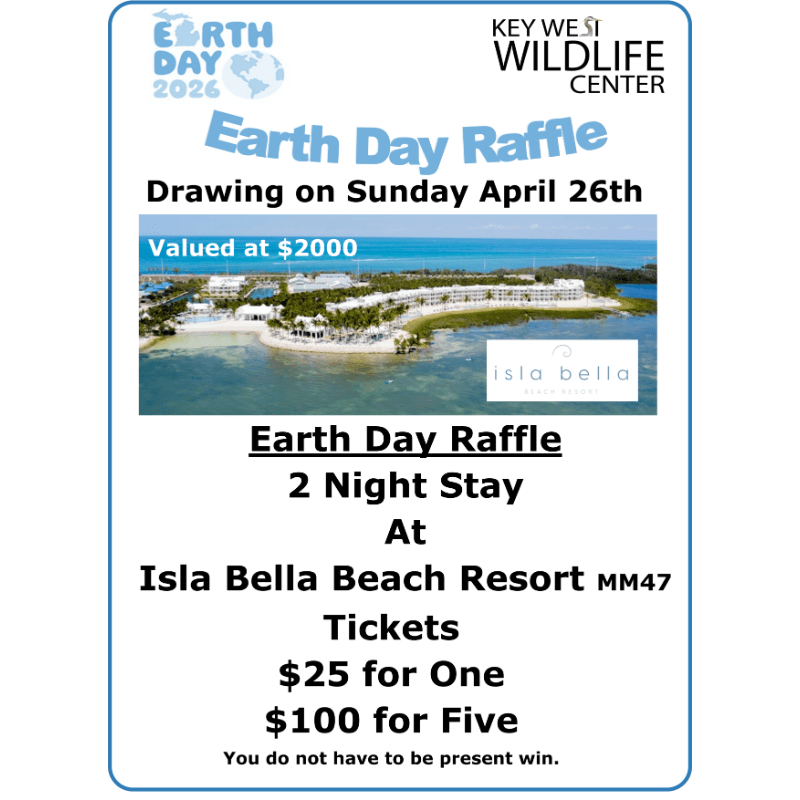 Key West Wildlife Center's Earth Day Raffle 2026