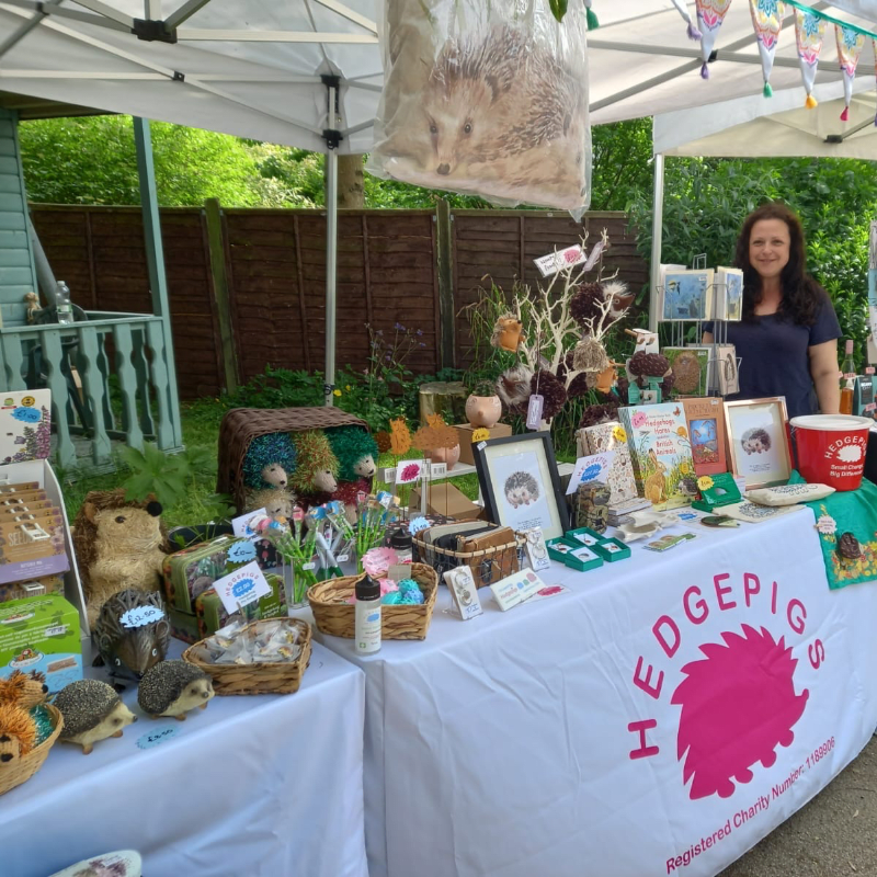 HEDGEPIGS's Shop