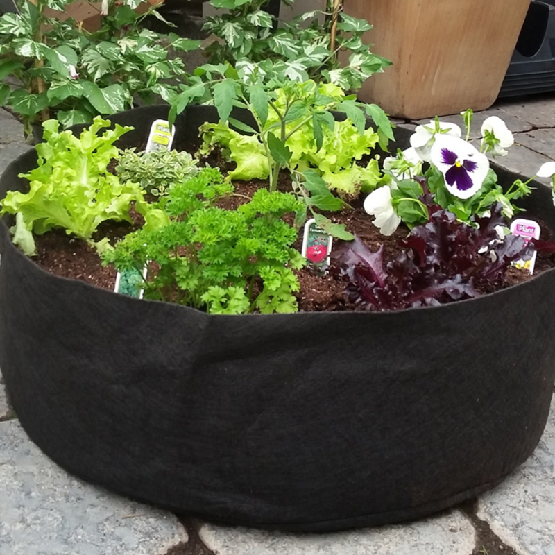 Événement horticole - Atelier "Confection de jardinière et plantes comestibles" à 10h15