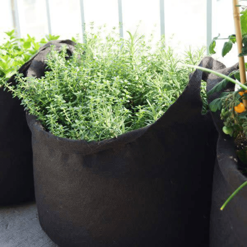 Événement horticole - Atelier "Confection de balconnière et fines herbes" à 12h30