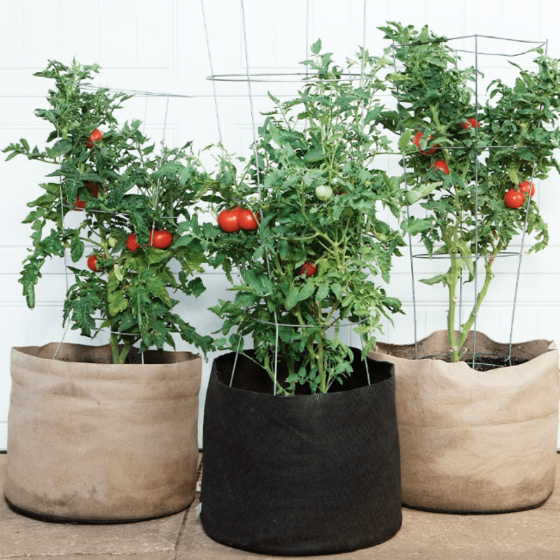 Événement horticole - Atelier "Smartpot - Tomates" à 13h15