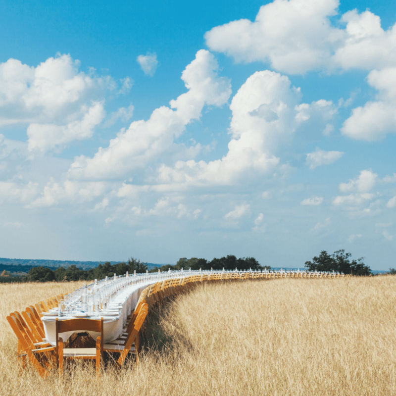 Field -To-Table Dinner in a Soybean Field