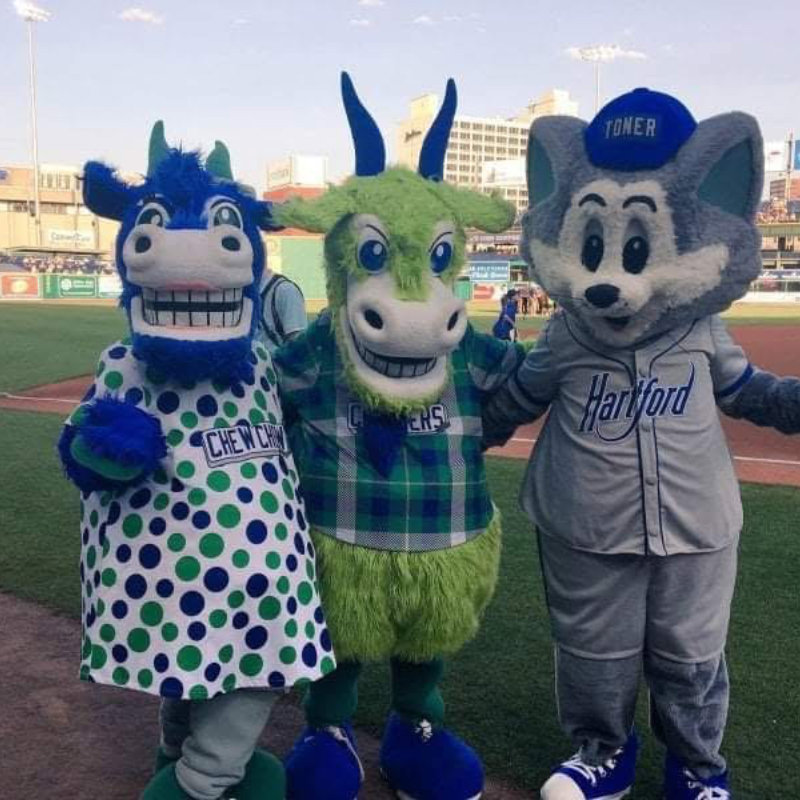 HPS Family Yard Goats Game