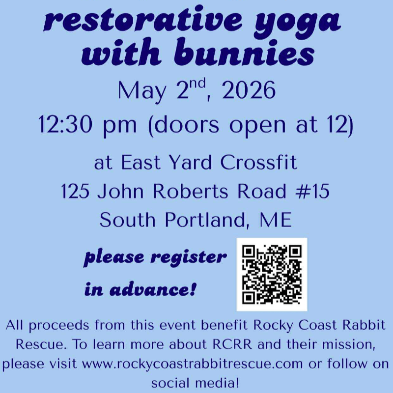 Restorative Yoga with Bunnies - 5/2/26