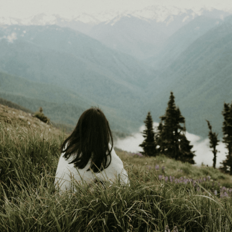Partner With Wild Heart