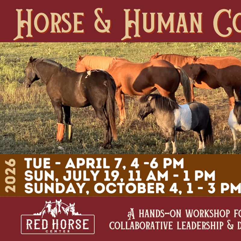 Horse and Human Collaboration - Intro and Workshop
