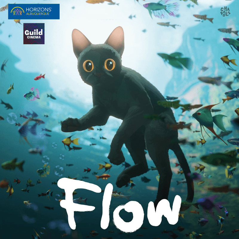 Join us for a special screening of FLOW at the Guild Cinema!