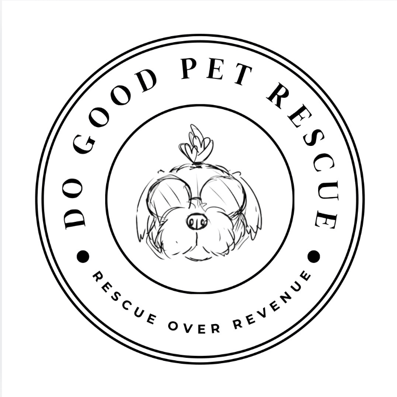Donate to Change Animal Lives