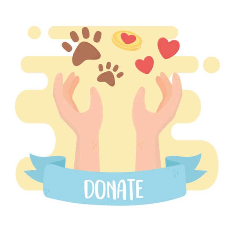 Donate to Change Lives