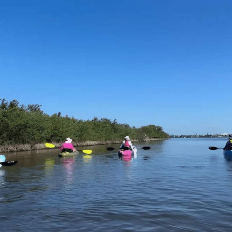Kayak Tour Payments