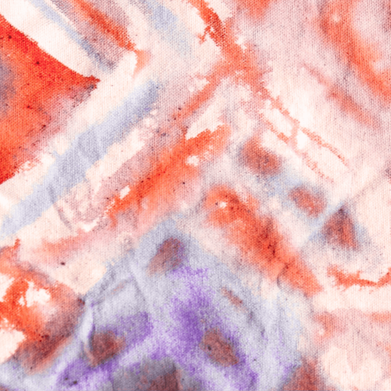 Cochineal Dye Workshop