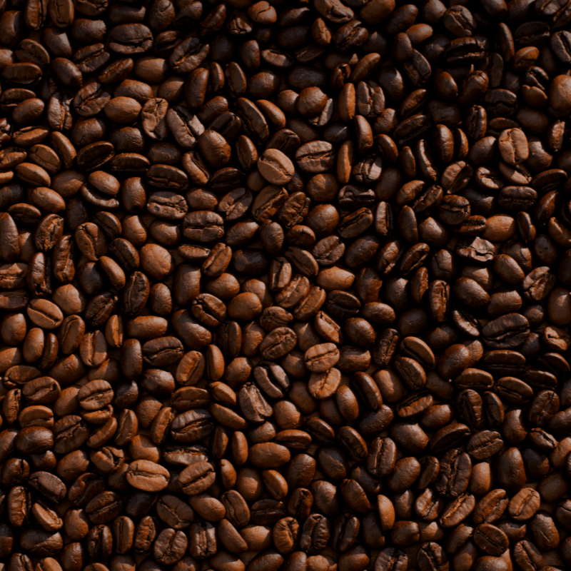 RISE Brew Club