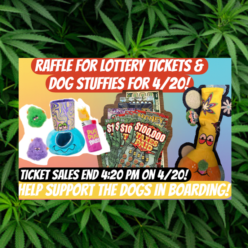 420 Raffle Printable Scratchers Raffle-4:20 THEME!