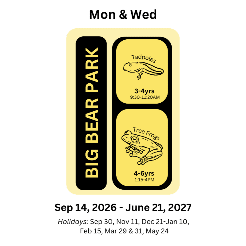 Big Bear Registration 2026-27