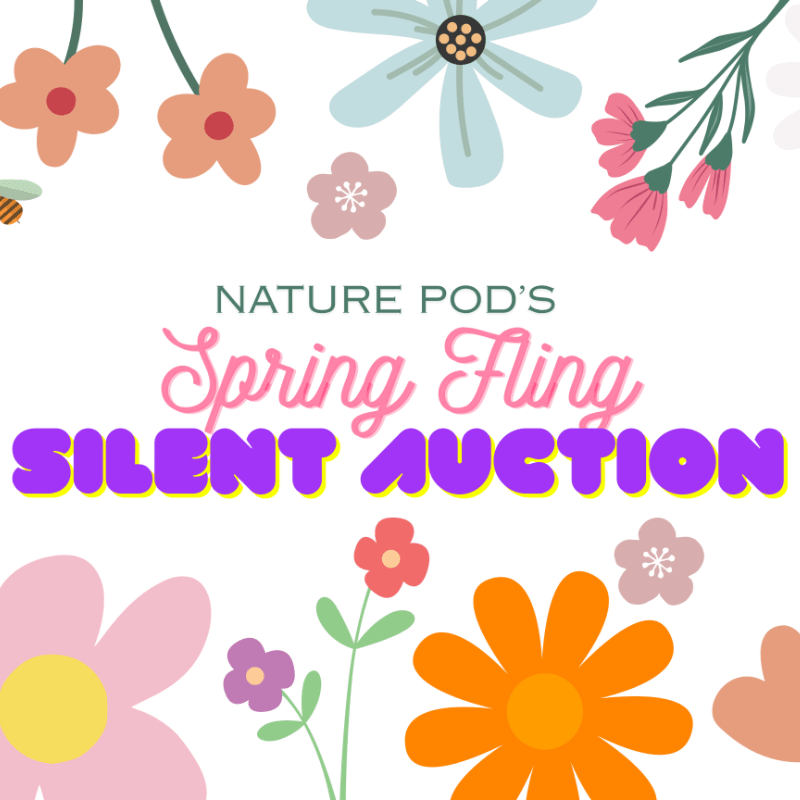 Nature Pod Spring Fling Silent Auction