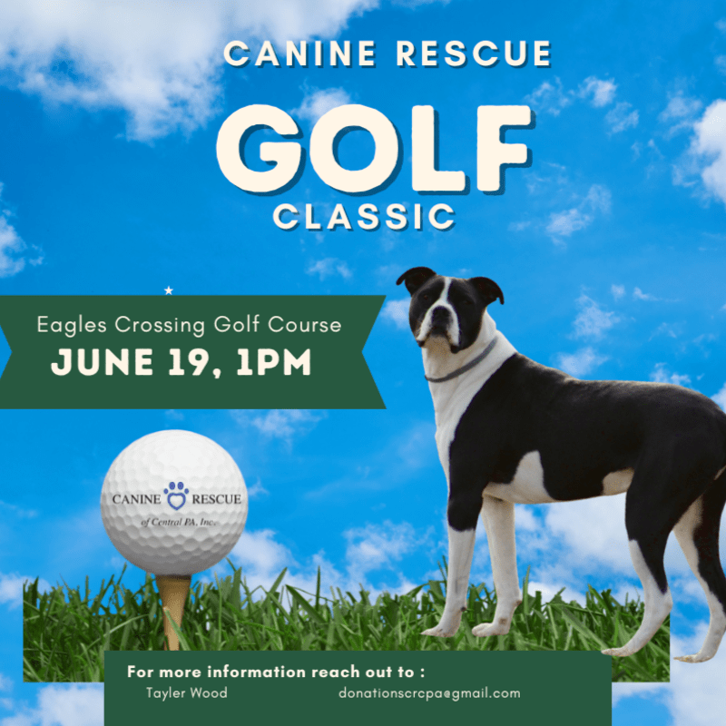 Canine Rescue 2026 Golf Classic Sponsors