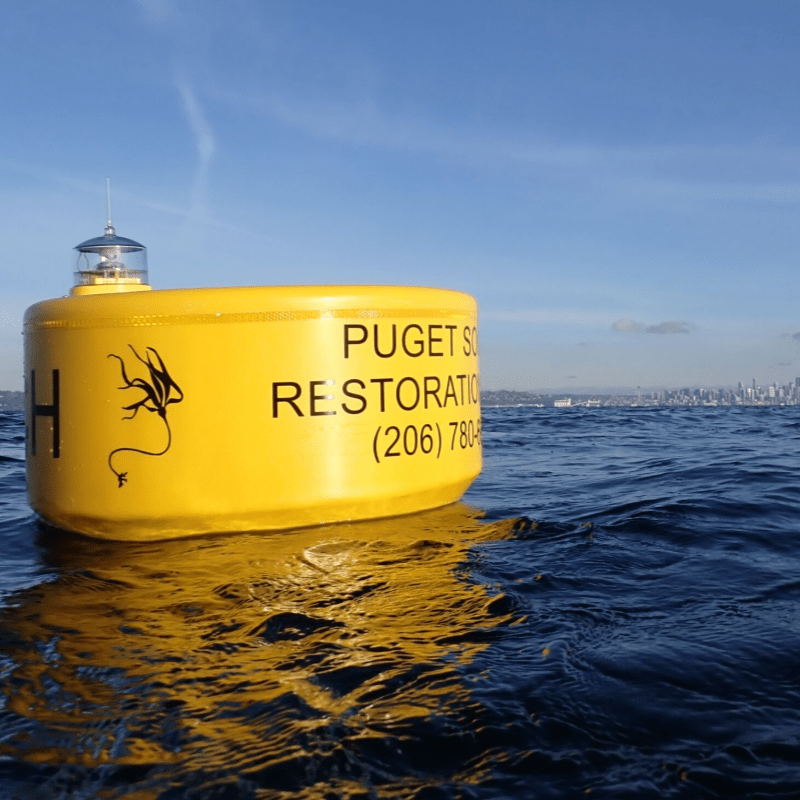 Support Our In-Water Restoration Work!