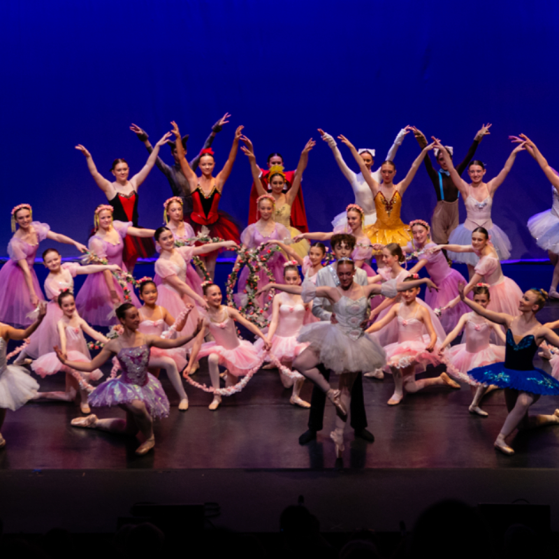 Spring Showcase Spring Showcase