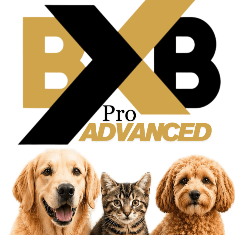 Supporting Animals In Need Business Mixer