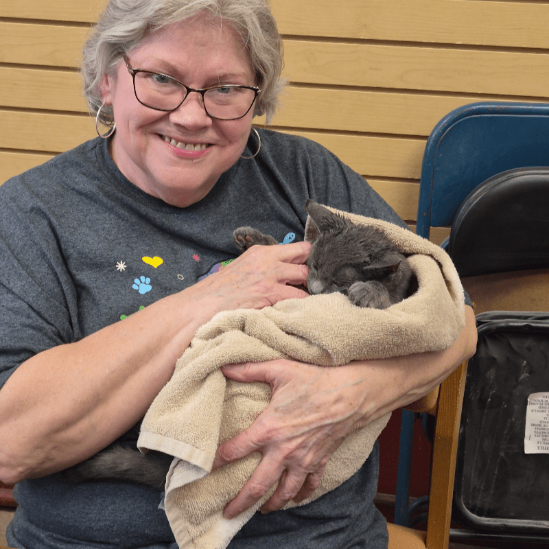 Donate to the Knox County Humane Society