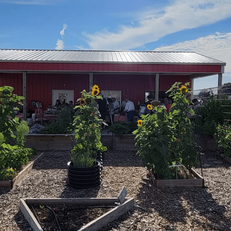 Dine in the Dirt