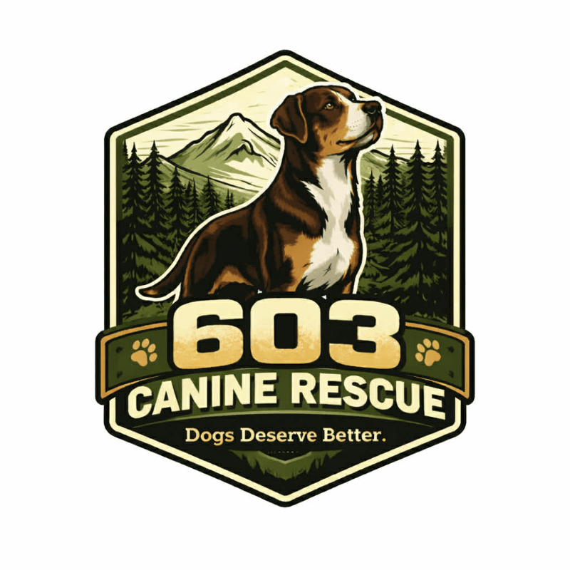 Because Dogs Deserve Better