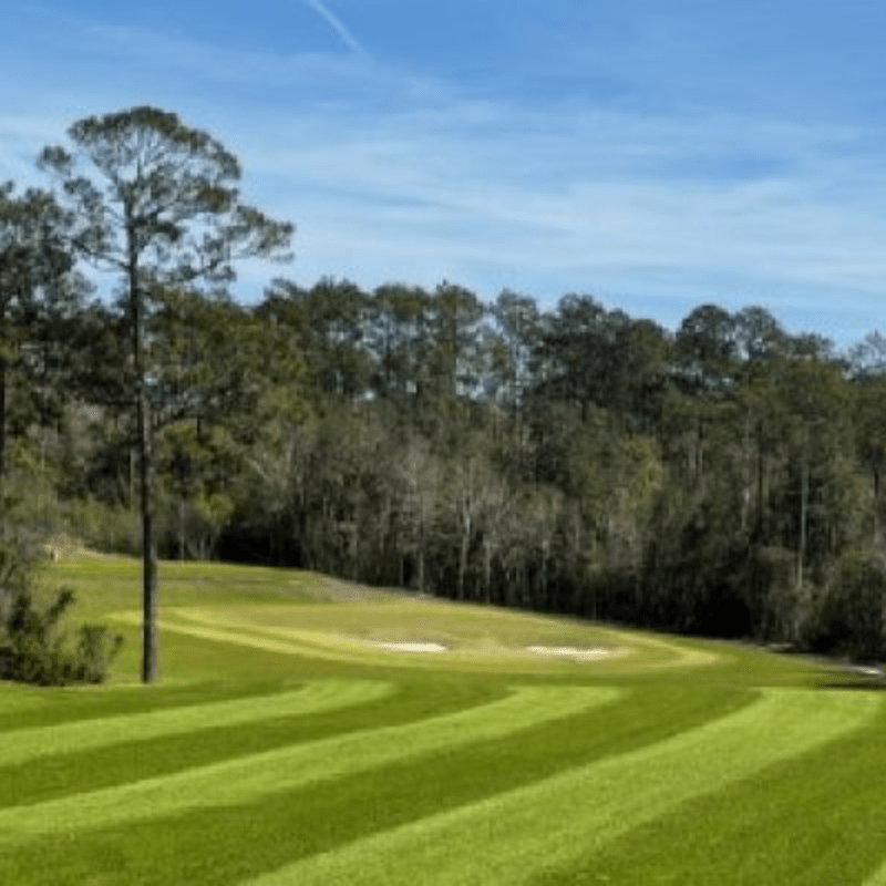 CMF's First Annual Golf Tournament