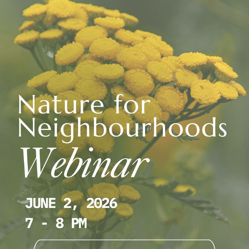 Nature for Neighbourhoods Webinar